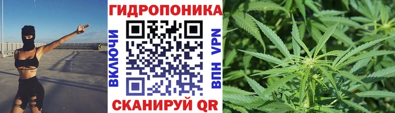 даркнет сайт  Кропоткин  Бошки Шишки THC 21% 